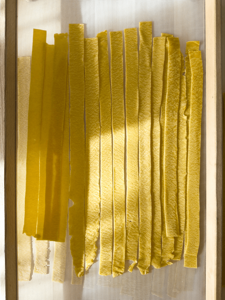Golden yellow appardelle pasta is shown from above, resting on a mesh drying rack used for drying fresh pasta. The pasta has a beautiful, rough texture. 