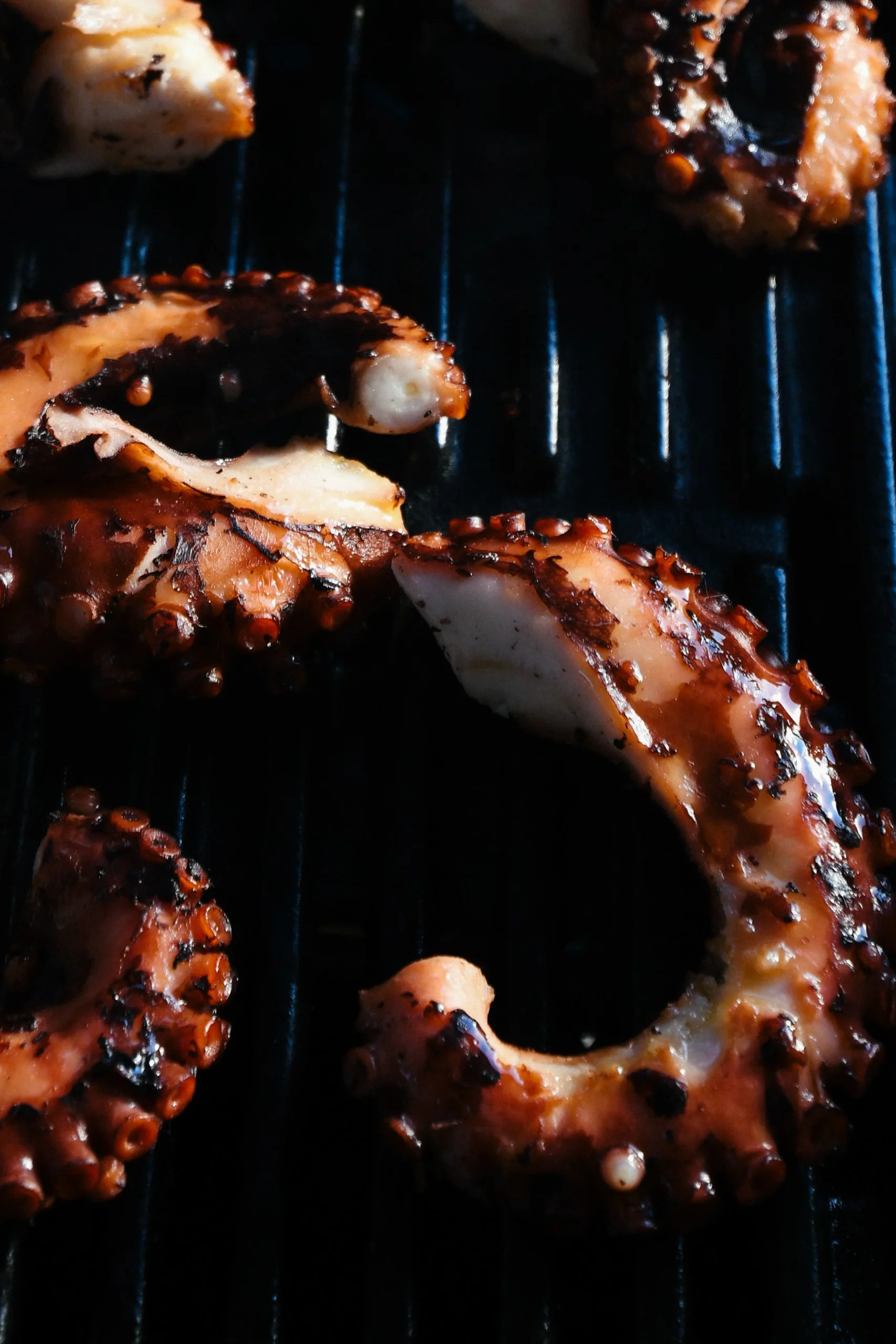 A close up shot of octopus tentacles being grilled on the BBQ. 