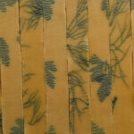 Ribbon cut strands of herb laminated pasta, placed side by side, made with parsley and dill.