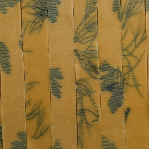 Ribbon cut strands of herb laminated pasta, placed side by side, made with parsley and dill.