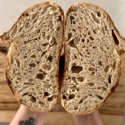 A crumb shot of a loaf of sourdough bread, showing a perfect oval shape with the signature ear.