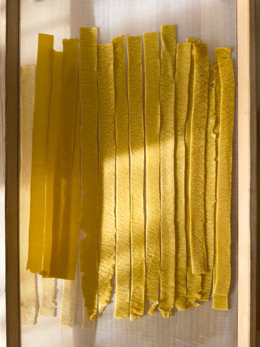 Fresh pappardelle dry on a mesh pasta tray.