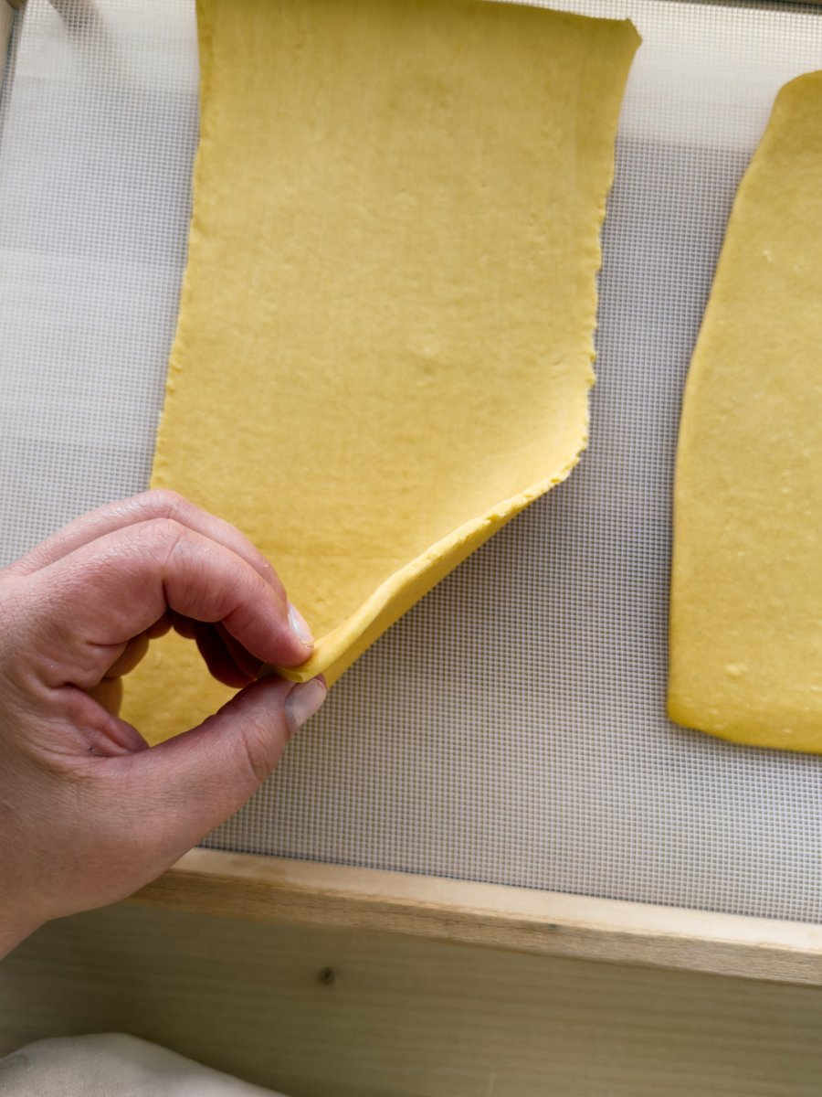 A thick sheet of egg pasta is held on a mesh drying rack. A hand holds the pasta sheet up to demonstrate it's thickness.