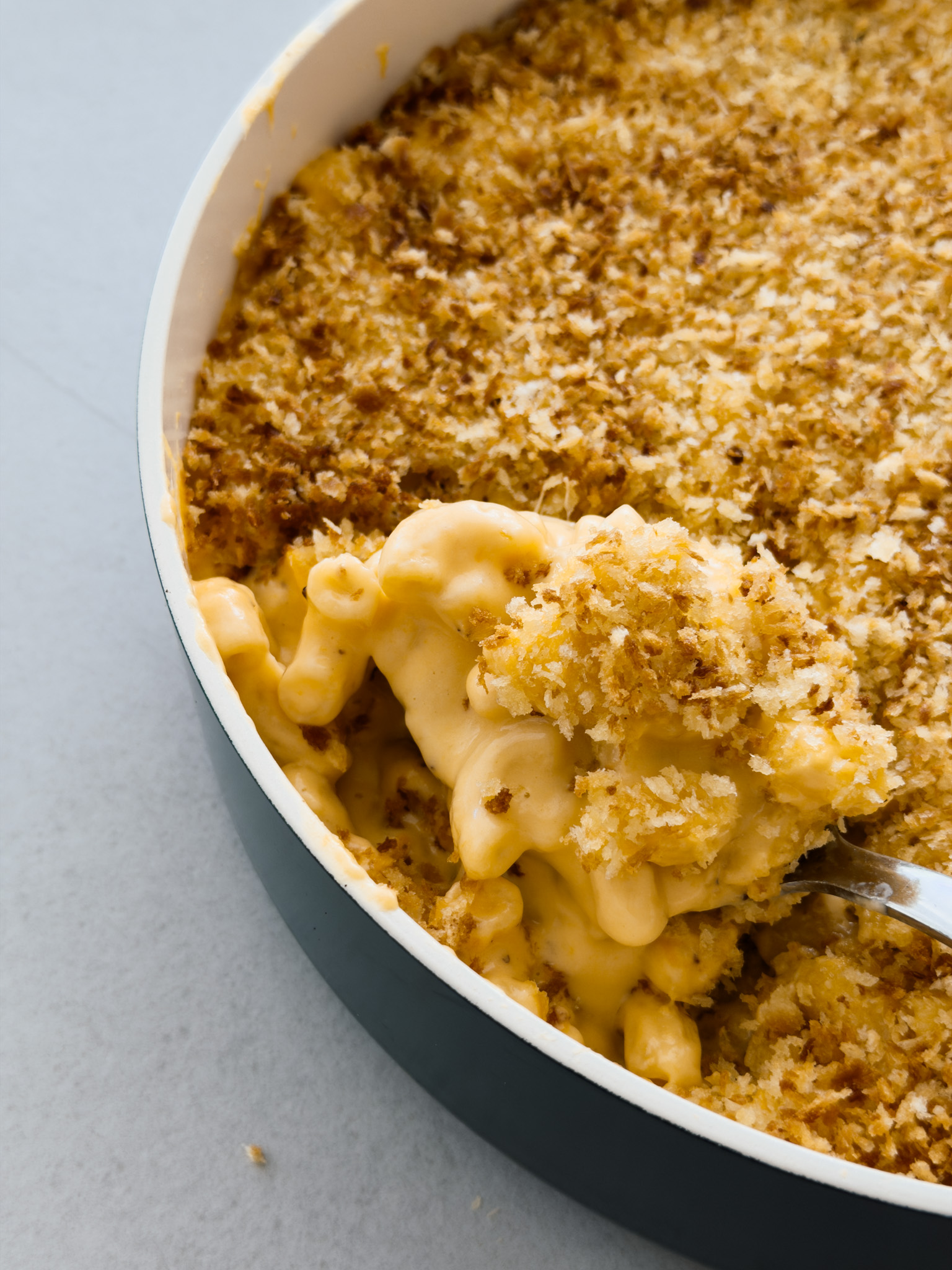 A close up photo of creamy mac and cheese topped with a crunchy, golden pangrattato breadcrumb topping. 
